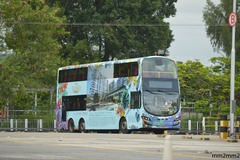 SX3463 @ OTHER 由 mm2mm2 拍攝